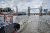 ‘No sharks but I’ve seen porpoises’: the rebirth of the River Thames. A trip down London’s famous waterway reveals many signs of life – but is this another false dawn?
