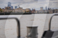 ‘No sharks but I’ve seen porpoises’: the rebirth of the River Thames. A trip down London’s famous waterway reveals many signs of life – but is this another false dawn?