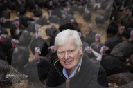 ‘I’ve never known it like this’ – the UK’s struggle to get the Christmas turkey to the table Poultry farmers and meat processors have struggled to cope due to Covid- and Brexit-induced staff shortages. But help may soon be at hand