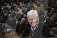 ‘I’ve never known it like this’ – the UK’s struggle to get the Christmas turkey to the table Poultry farmers and meat processors have struggled to cope due to Covid- and Brexit-induced staff shortages. But help may soon be at hand