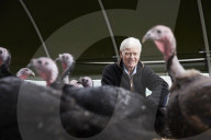 ‘I’ve never known it like this’ – the UK’s struggle to get the Christmas turkey to the table Poultry farmers and meat processors have struggled to cope due to Covid- and Brexit-induced staff shortages. But help may soon be at hand