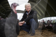 ‘I’ve never known it like this’ – the UK’s struggle to get the Christmas turkey to the table Poultry farmers and meat processors have struggled to cope due to Covid- and Brexit-induced staff shortages. But help may soon be at hand