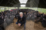 ‘I’ve never known it like this’ – the UK’s struggle to get the Christmas turkey to the table Poultry farmers and meat processors have struggled to cope due to Covid- and Brexit-induced staff shortages. But help may soon be at hand