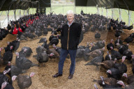 ‘I’ve never known it like this’ – the UK’s struggle to get the Christmas turkey to the table Poultry farmers and meat processors have struggled to cope due to Covid- and Brexit-induced staff shortages. But help may soon be at hand