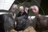 ‘I’ve never known it like this’ – the UK’s struggle to get the Christmas turkey to the table Poultry farmers and meat processors have struggled to cope due to Covid- and Brexit-induced staff shortages. But help may soon be at hand