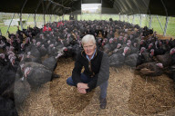 ‘I’ve never known it like this’ – the UK’s struggle to get the Christmas turkey to the table Poultry farmers and meat processors have struggled to cope due to Covid- and Brexit-induced staff shortages. But help may soon be at hand