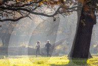 Misty Autumn colours Richmond London