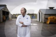 UK struggle to get the Christmas turkey to the table Poultry farmers and meat processors have struggled to cope due to Covid- and Brexit-induced staff shortages. But help may soon be at hand