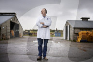 UK struggle to get the Christmas turkey to the table Poultry farmers and meat processors have struggled to cope due to Covid- and Brexit-induced staff shortages. But help may soon be at hand