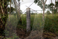 The elephant in the room: a Thai village’s unwelcome guests – photo essay.
Humans have encroached on the animals’ habitat – now villagers face daily raids as the elephants break into their homes in search of food.