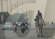 NEWS -  Indien: Lockdown wegen Luftverschmutzung in Neu-Delhi