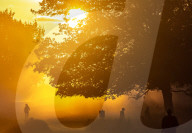 Misty Autumn colours Richmond Park, London