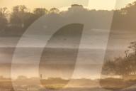 Misty Autumn colours Richmond Park, London