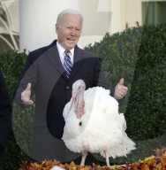 NEWS - Präsident Biden begnadigt 2 Truthähne vor Thanksgiving