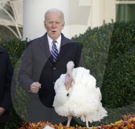 NEWS - Präsident Biden begnadigt 2 Truthähne vor Thanksgiving