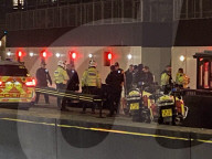 Armed Police detain soemone outside  the House of Commons