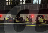 Armed Police detain soemone outside  the House of Commons