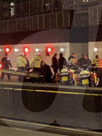 Armed Police detain soemone outside  the House of Commons