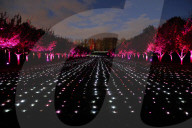 FEATURE - Lightscape Installation im Brooklyn Botanic Garden in New York eröffnet