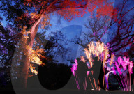 FEATURE - Lightscape Installation im Brooklyn Botanic Garden in New York eröffnet