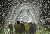 FEATURE - Lightscape Installation im Brooklyn Botanic Garden in New York eröffnet