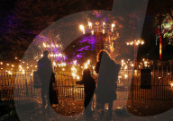 FEATURE - Lightscape Installation im Brooklyn Botanic Garden in New York eröffnet