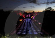 FEATURE - Lightscape Installation im Brooklyn Botanic Garden in New York eröffnet