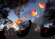 FEATURE - Lightscape Installation im Brooklyn Botanic Garden in New York eröffnet