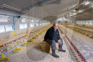 The £3 chicken: how much should we actually be paying for the nation’s favourite meat?
Fifty years ago, a medium broiler cost the equivalent of £11 today. Now it is less than a latte or a pint of beer, raising serious ethical and environmental question