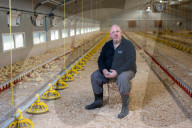 The £3 chicken: how much should we actually be paying for the nation’s favourite meat?
Fifty years ago, a medium broiler cost the equivalent of £11 today. Now it is less than a latte or a pint of beer, raising serious ethical and environmental question