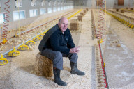The £3 chicken: how much should we actually be paying for the nation’s favourite meat?
Fifty years ago, a medium broiler cost the equivalent of £11 today. Now it is less than a latte or a pint of beer, raising serious ethical and environmental question