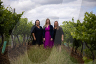Hunter coal plan may spell disaster for prime wine country.