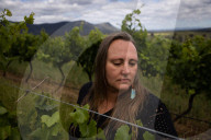 Hunter coal plan may spell disaster for prime wine country.