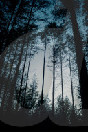 Wild night out: how a nocturnal walk in the woods can reconnect us with nature. More than 80% of us live under light-polluted skies but it’s not too late to embrace the darkness