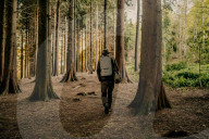 Wild night out: how a nocturnal walk in the woods can reconnect us with nature. More than 80% of us live under light-polluted skies but it’s not too late to embrace the darkness