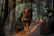 Wild night out: how a nocturnal walk in the woods can reconnect us with nature. More than 80% of us live under light-polluted skies but it’s not too late to embrace the darkness