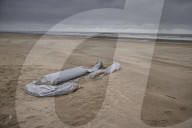 ‘I’ll try to get across’: people camped out in Dunkirk still hope to reach UK
News of Channel deaths has reached camp, but many still plan to pay people smugglers huge amounts in hope of a better life