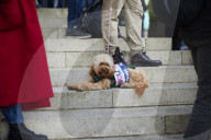UK universities hit by strike action over pay and pensions. University College Union (UCU) picket line 