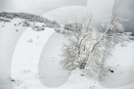 FEATURE - Winter in der Region Iwano-Frankiwsk, Staryi Mizun, Ukraine