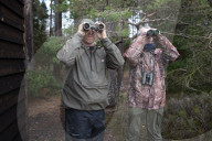 Hen harriers’ friend: gamekeeping turns conservation in Yorkshire. Grouse moors are not known for being friendly places for birds of prey – but the Swinton estate has a fresh attitude