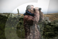 Hen harriers’ friend: gamekeeping turns conservation in Yorkshire. Grouse moors are not known for being friendly places for birds of prey – but the Swinton estate has a fresh attitude