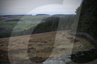 Hen harriers’ friend: gamekeeping turns conservation in Yorkshire. Grouse moors are not known for being friendly places for birds of prey – but the Swinton estate has a fresh attitude