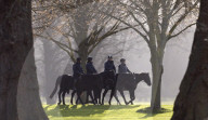 ROYALS - Prinz Andrew reitet durch den Park von Schloss Windsor