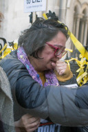 U.S. Assange Extradition Appeal