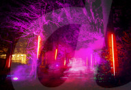 Light festival of Christmas Light Trails at Cowdray Park