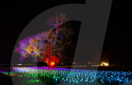 Light festival of Christmas Light Trails at Cowdray Park