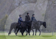 Prince Andrew At Windsor