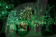 FEATURE -  Over The Top: Die funkelnde und tönende Weihnachtsdeko von Dyker Heights in Brooklyn