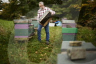 ‘I could be a bee in a hive’: the real-life Beekeeper of Aleppo on life in Yorkshire. Ryad Alsous, whose story helped inspire the bestselling book, says life is sweet caring for his hives in Huddersfield.