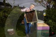 ‘I could be a bee in a hive’: the real-life Beekeeper of Aleppo on life in Yorkshire. Ryad Alsous, whose story helped inspire the bestselling book, says life is sweet caring for his hives in Huddersfield.